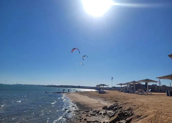 Selena Bay